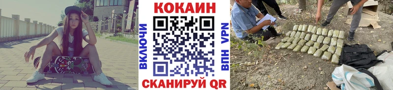цена   Дно  COCAIN Fish Scale 