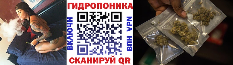 Марихуана план  купить  цена  blacksprut зеркало  Дно 